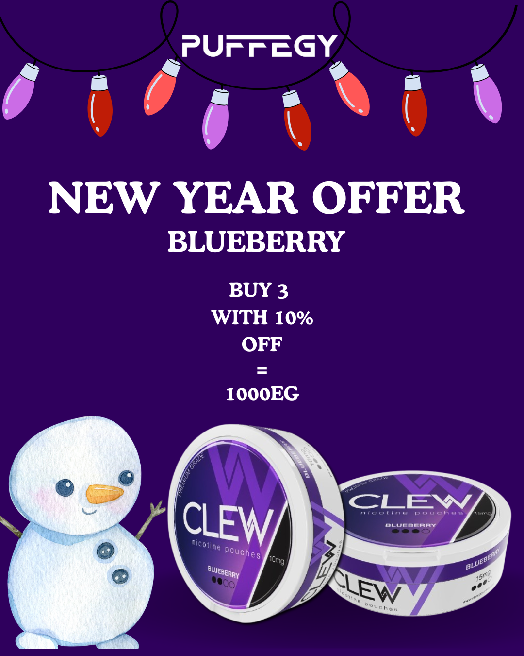 NEW YEAR OFFER